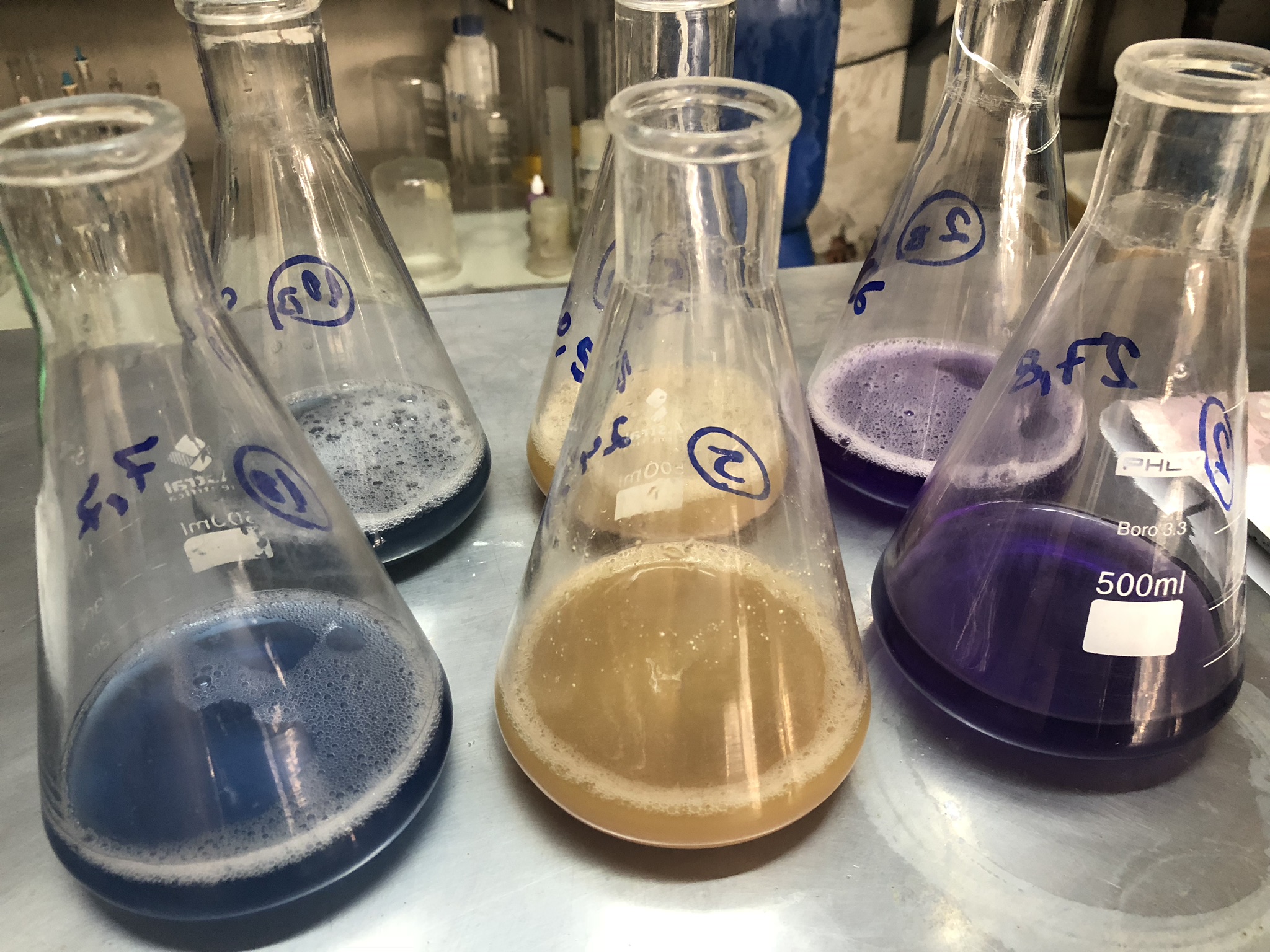 Ensaios Laboratoriais